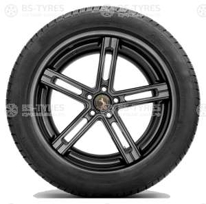 Continental ContiWinterContact TS830P SUV 305/40 R20 112V