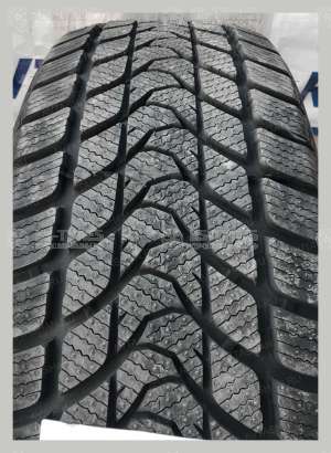 Delinte Winter WD1 245/45 R19 98S