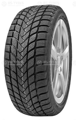Delinte Winter WD6 185/60 R15 88H