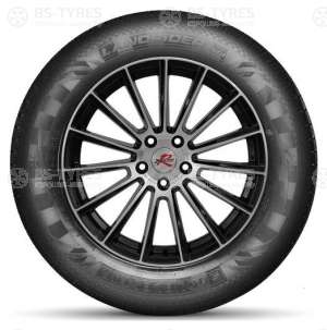 Doublestar DS01 245/45 R19 98H