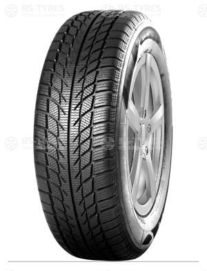 Goodride SW608 205/45 R17 88H