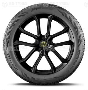 Ikon (Nokian Tyres) Autograph Snow 5 SUV 265/55 R20 113R