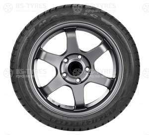 Maxxis WP-05 Arctic trekker 225/60 R16 102H