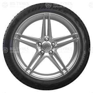 Triangle WinterX TW401 195/55 R15 85H