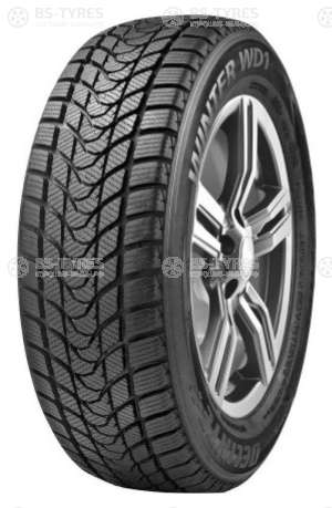 Delinte Winter WD1 245/45 R19 98S