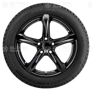 Tigar Ice SUV 275/40 R20 106T